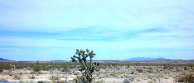 2012-04-18_09-29-26_562