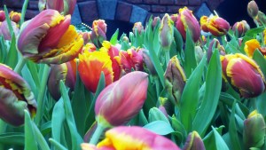 2012-04-20_13-02-08_612