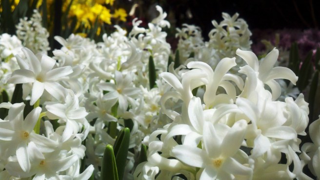 Photo by: Kim Olgren