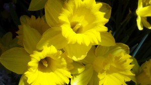 2012-04-20_13-03-25_892